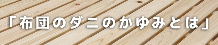 布団のダニのかゆみとは