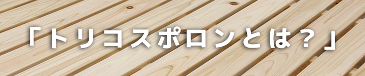 トリコスポロンとは？
