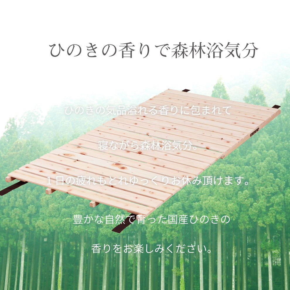 森林浴気分