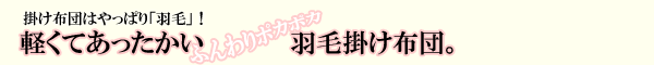 ふんわりポカポカ羽毛掛け布団